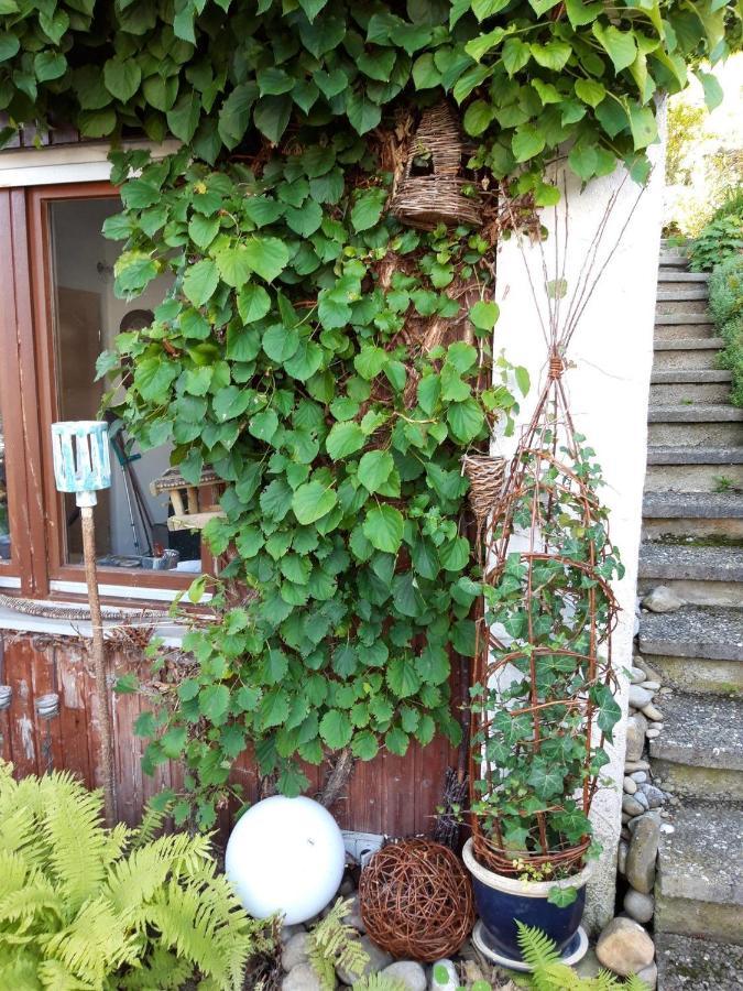 Ferienwohnung Rosa Muller ヴァンゲン・イム・アルゴイ エクステリア 写真